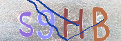 CAPTCHA 驗證圖片