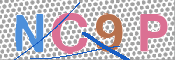 CAPTCHA 驗證圖片