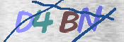 CAPTCHA 驗證圖片