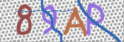 CAPTCHA 驗證圖片