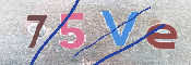 CAPTCHA 驗證圖片