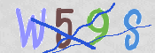 CAPTCHA 驗證圖片