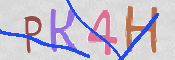 CAPTCHA 驗證圖片