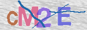 CAPTCHA 驗證圖片