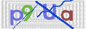 CAPTCHA 驗證圖片