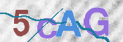 CAPTCHA 驗證圖片