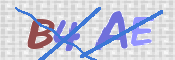 CAPTCHA 驗證圖片