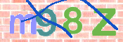 CAPTCHA 驗證圖片