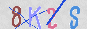 CAPTCHA 驗證圖片