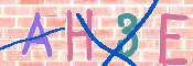 CAPTCHA 驗證圖片