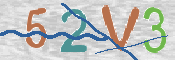 CAPTCHA 驗證圖片