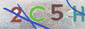 CAPTCHA 驗證圖片