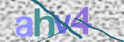 CAPTCHA 驗證圖片