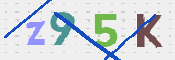 CAPTCHA 驗證圖片