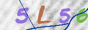 CAPTCHA 驗證圖片