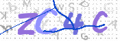 CAPTCHA 驗證圖片