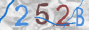CAPTCHA 驗證圖片