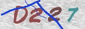 CAPTCHA 驗證圖片
