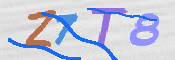 CAPTCHA 驗證圖片