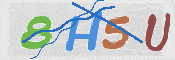 CAPTCHA 驗證圖片