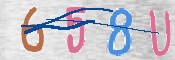 CAPTCHA 驗證圖片