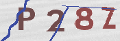 CAPTCHA 驗證圖片