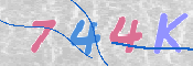CAPTCHA 驗證圖片