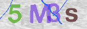CAPTCHA 驗證圖片