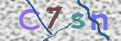 CAPTCHA 驗證圖片
