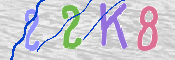 CAPTCHA 驗證圖片