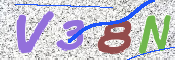CAPTCHA 驗證圖片