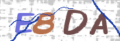 CAPTCHA 驗證圖片