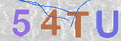 CAPTCHA 驗證圖片