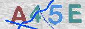 CAPTCHA 驗證圖片