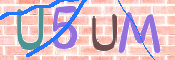 CAPTCHA 驗證圖片