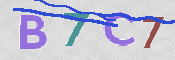 CAPTCHA 驗證圖片