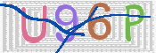 CAPTCHA 驗證圖片