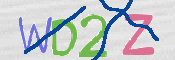 CAPTCHA 驗證圖片