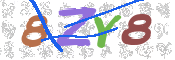 CAPTCHA 驗證圖片