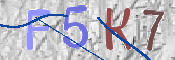 CAPTCHA 驗證圖片