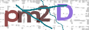 CAPTCHA 驗證圖片