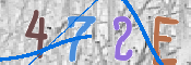CAPTCHA 驗證圖片
