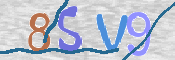 CAPTCHA 驗證圖片