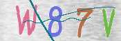 CAPTCHA 驗證圖片