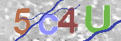 CAPTCHA 驗證圖片