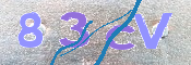 CAPTCHA 驗證圖片