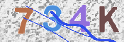 CAPTCHA 驗證圖片