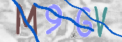CAPTCHA 驗證圖片
