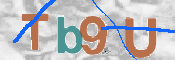 CAPTCHA 驗證圖片