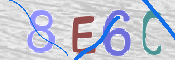 CAPTCHA 驗證圖片
